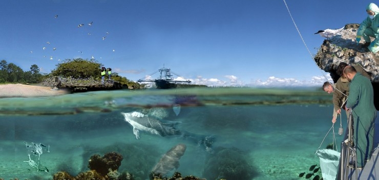 Centre de la mer : Recherche & biodiversité