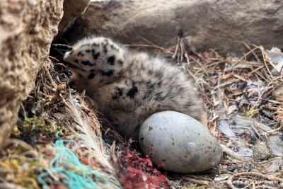 centre de la mer biarritz