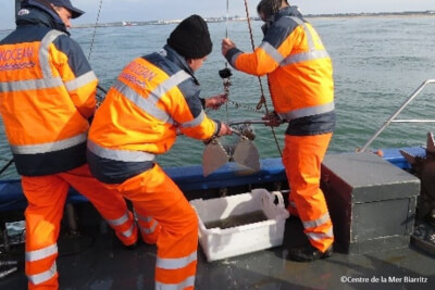 centre de la mer biarritz