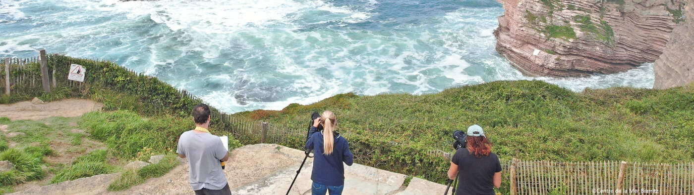 Années d'études scientifiques