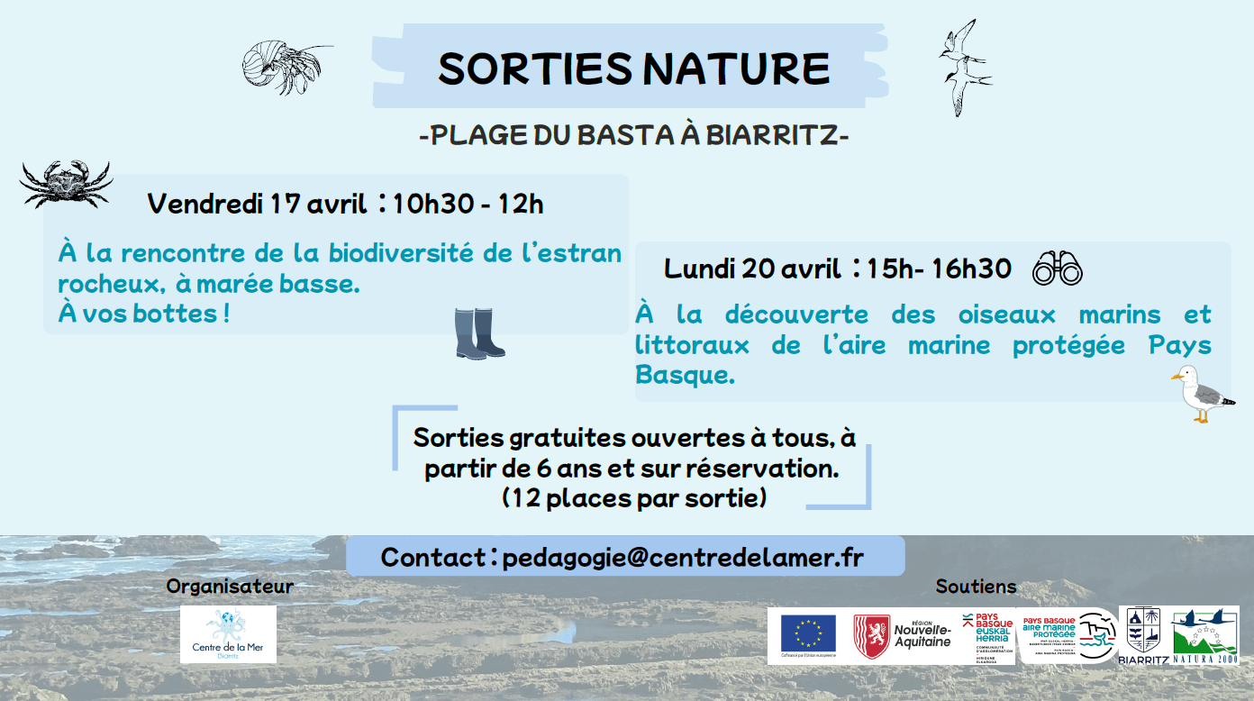 Animations gratuites d'avril !