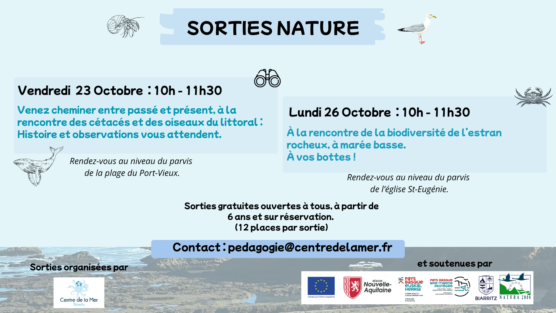 Animations gratuites - Octobre