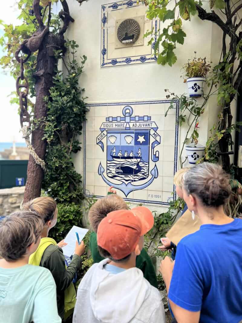 Animation gratuite ! 