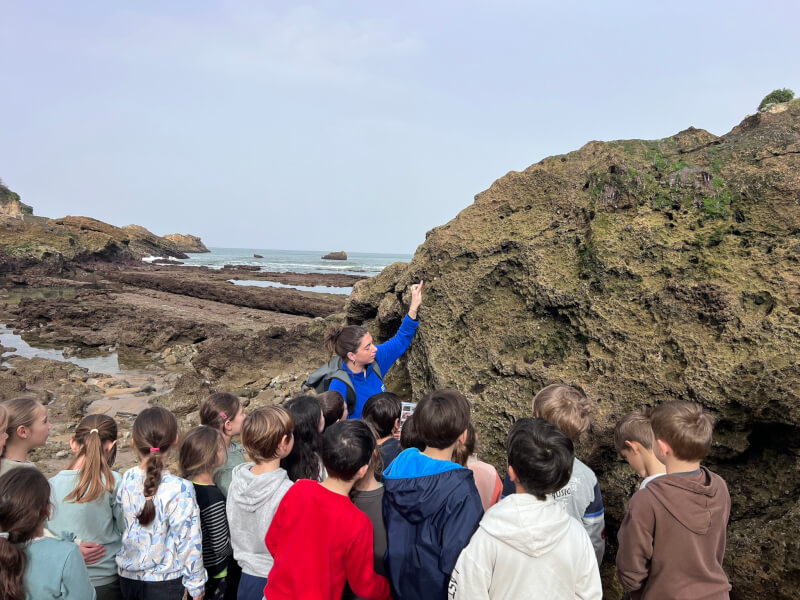 Animations gratuites d'avril !