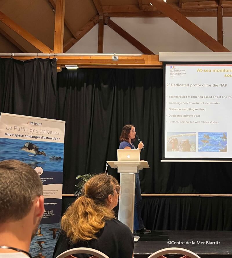 Séminaire PNA Puffin des Baléares