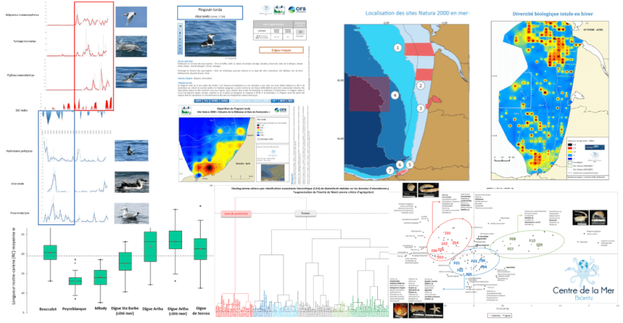 Recherches et biodiversité