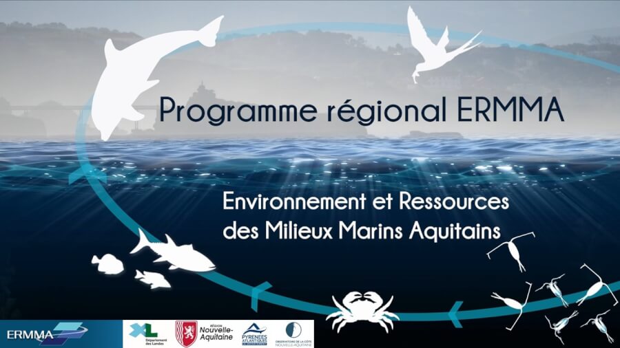 Recherches et biodiversité