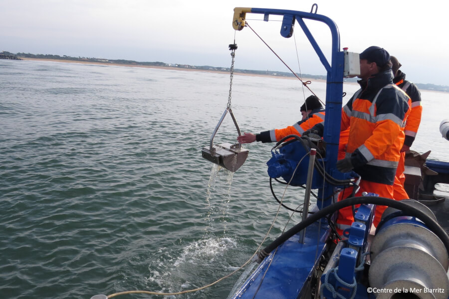 Recherches et biodiversité