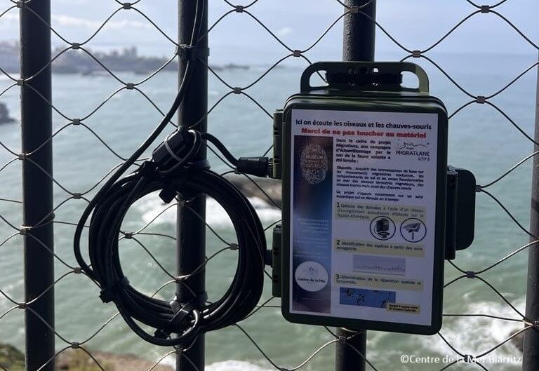 Recherches et biodiversité